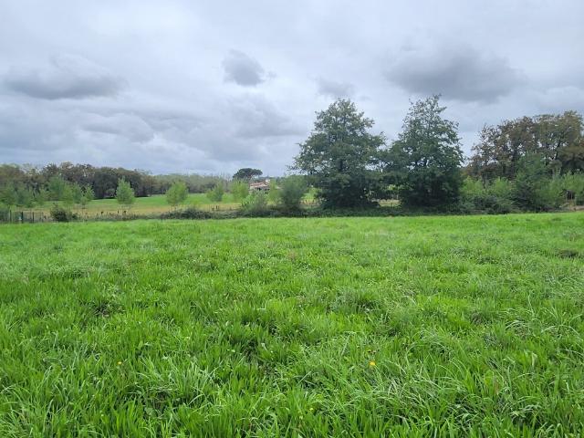 Terrain vente à Serres-gaston, Landes