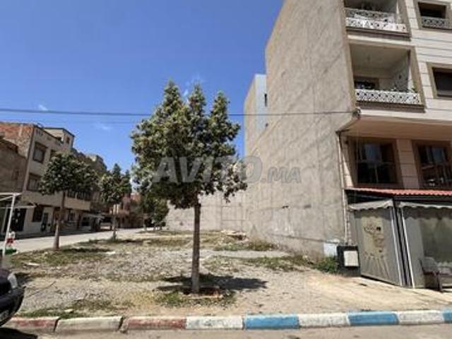 Propriété vente à Saida