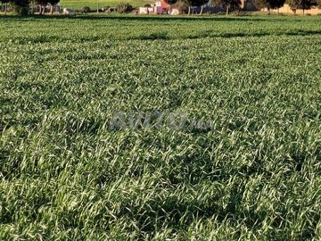 Propriété vente à Bouskoura, Gharb-Chrarda-Beni Hssen