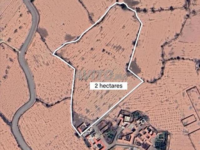 Propriété vente à Oued ed Dahab-Lagouira