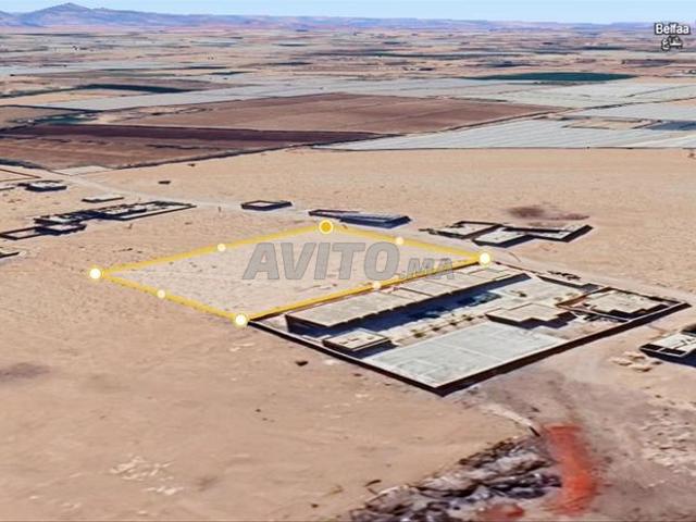Propriété vente à Oued ed Dahab-Lagouira