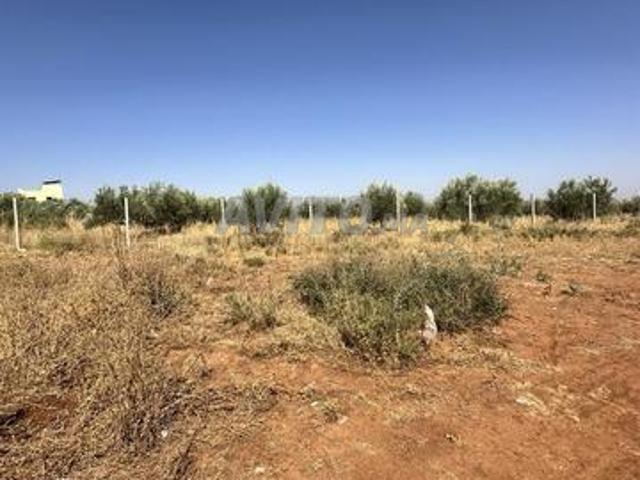 Propriété vente à Al Haouz, L'Oriental