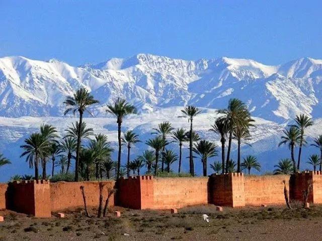 Terrain vente à Marrakech, L'Oriental