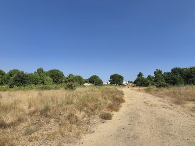 Terrain vente à Céret, Latour-bas-elne