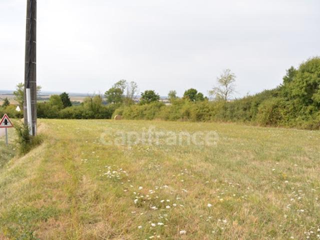 Terrain vente à Cosne-Cours-sur-Loire, Alligny-cosne