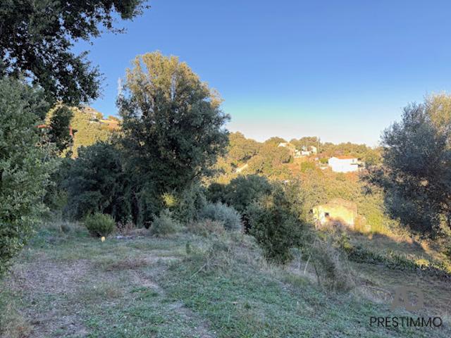 Terrain vente à Bastia