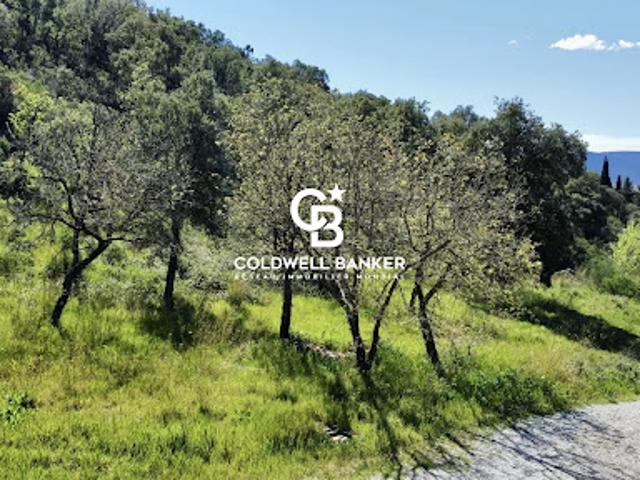 Terrain vente à Arrondissement de Draguignan, Grimaud
