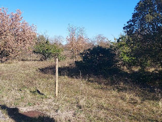 Terrain vente à Avignon, Vedène