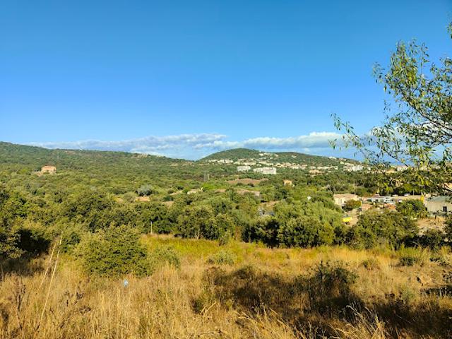 Terrain vente à Calvi, Monticello