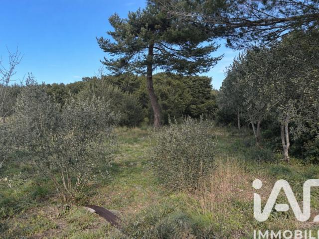 Terrain vente à Apt, Taillades