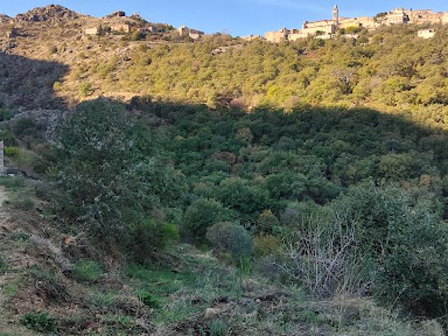 Terrain vente à Calvi, Speloncato