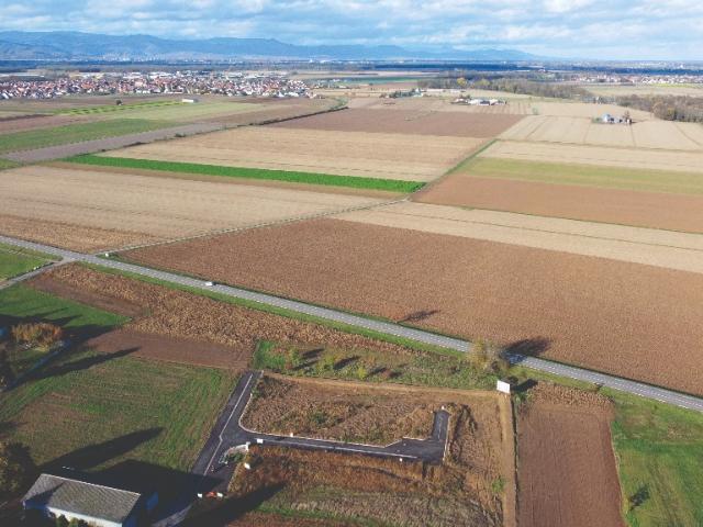 Terrain vente à Colmar-Ribeauvillé, Sainte-croix-en-plaine