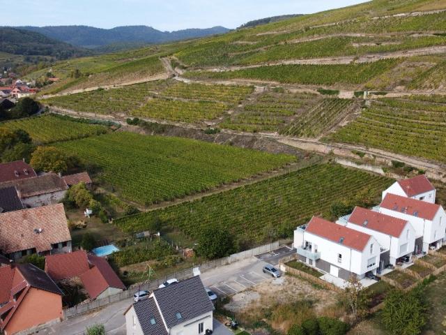 Terrain vente à Soultzmatt, Collectivité européenne d'Alsace