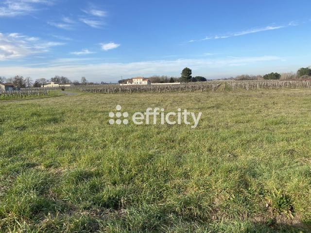 Terrain vente à France métropolitaine, Cars