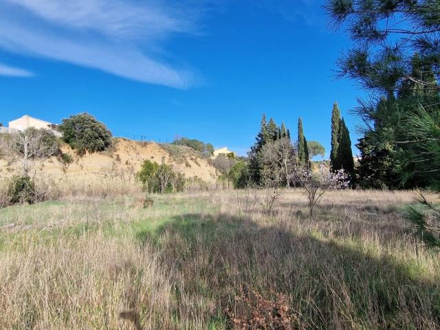 Terrain vente à Céret, Trouillas