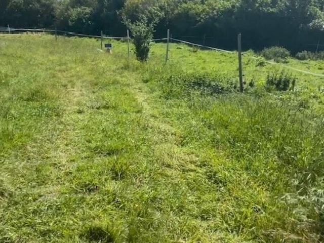 Terrain vente à Landrellec, Pleumeur-Bodou