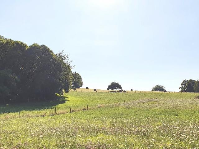 Terrain vente à Brive-la-Gaillarde, Palazinges