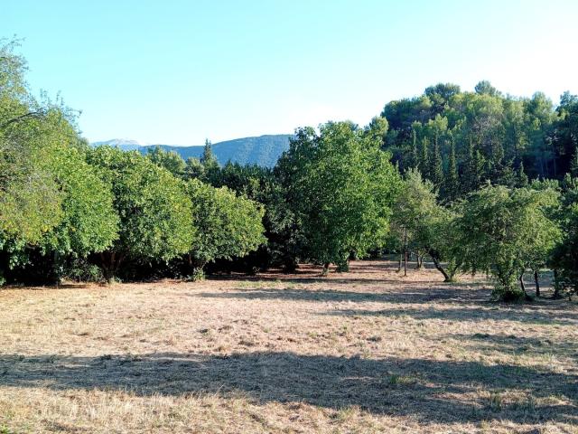 Terrain vente à Nyons, Buis-les-baronnies