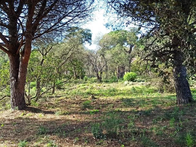 Terrain vente à Arrondissement de Draguignan, Sainte-maxime