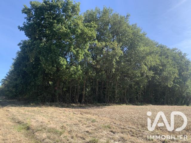 Terrain vente à Châteauroux, Baudres