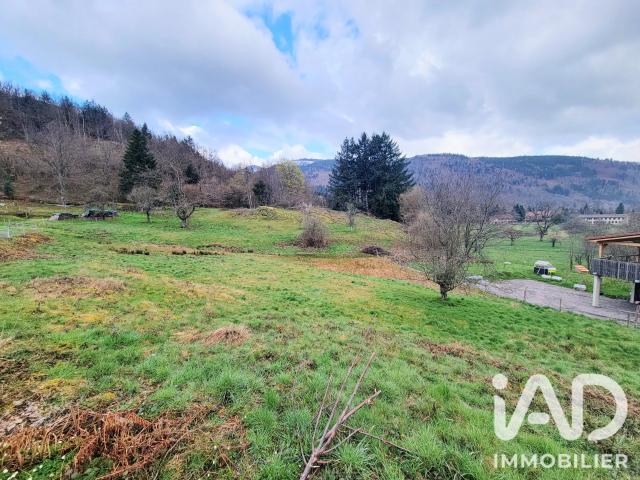 Terrain vente à Storckensohn, Collectivité européenne d'Alsace