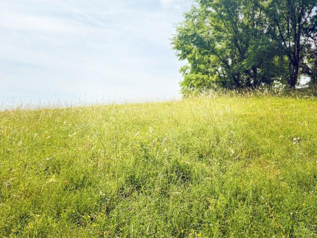 Terrain vente à Rodez, Saint-cyprien-sur-dourdou