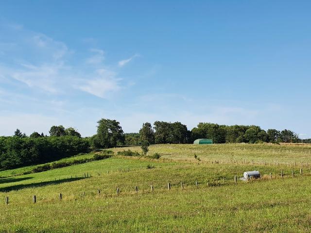 Terrain vente à Brive-la-Gaillarde, Palazinges