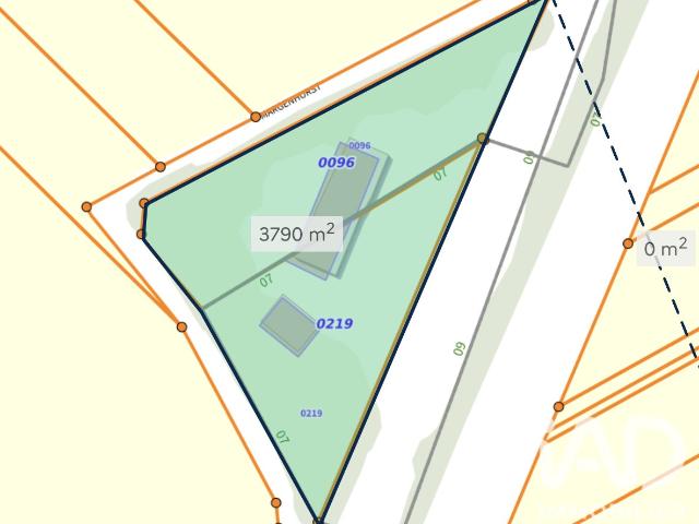 Terrain vente à Bergholtz, Collectivité européenne d'Alsace