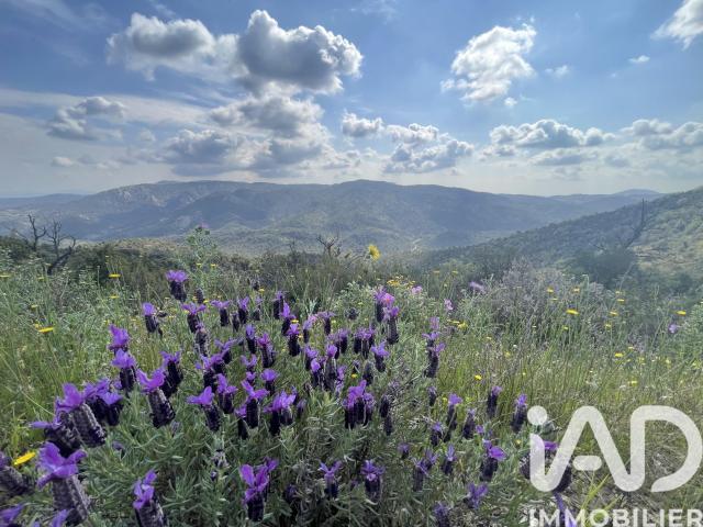 Terrain vente à Arrondissement de Draguignan, Vidauban