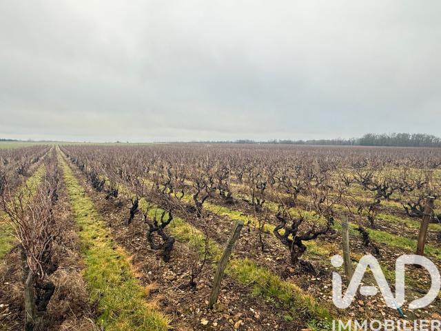 Terrain vente à Tours, Vernou-sur-brenne