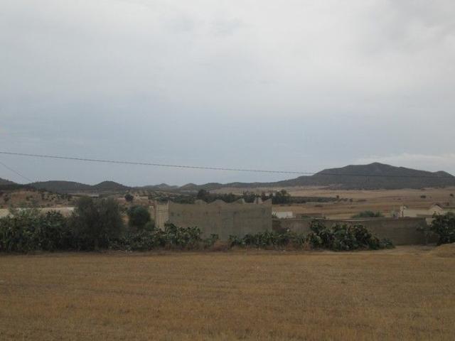 Terrain vente à Bir Mcherga