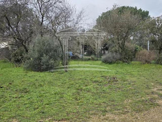 Terrain vente à Avignon, Sorgues