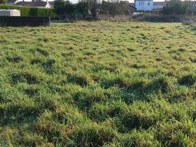 Terrain vente à France métropolitaine, Les Landes-genusson