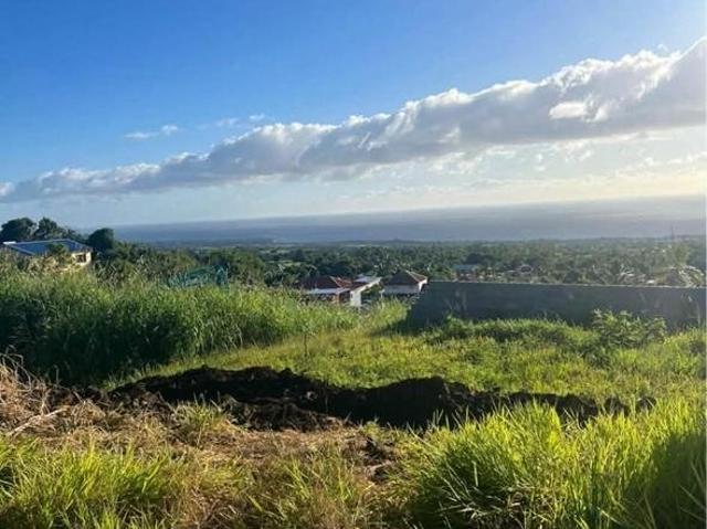 Terrain vente à La Réunion
