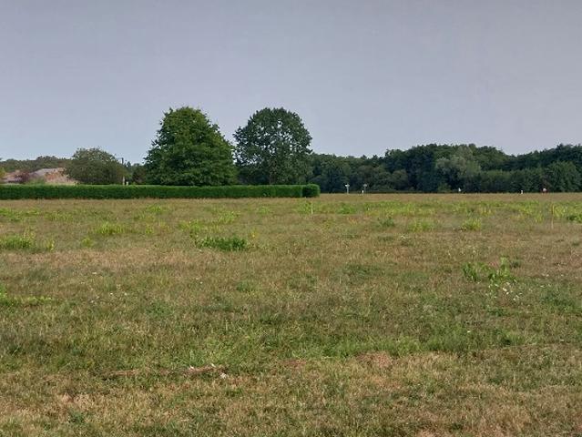Terrain vente à France métropolitaine, Saint-genès-de-fronsac