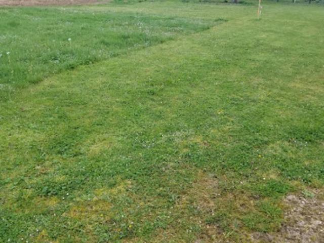 Terrain vente à Libourne, Naujan-et-postiac