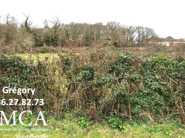 Terrain vente à Rochefort, Etaules