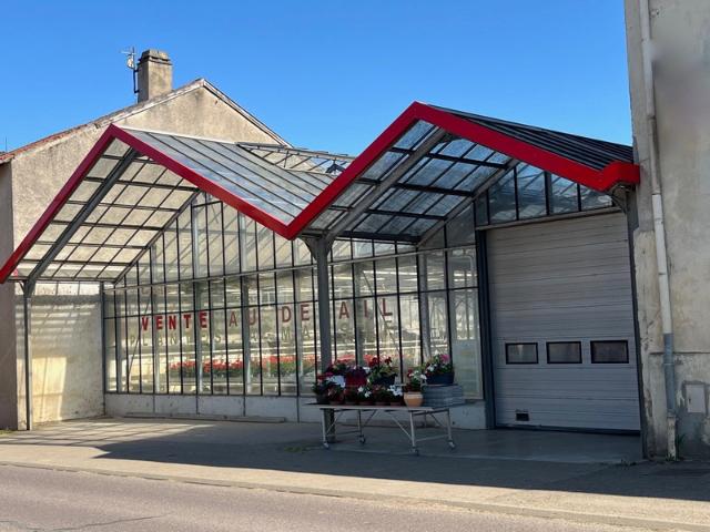 Maison vente à Forbach-Boulay-Moselle, Condé-northen