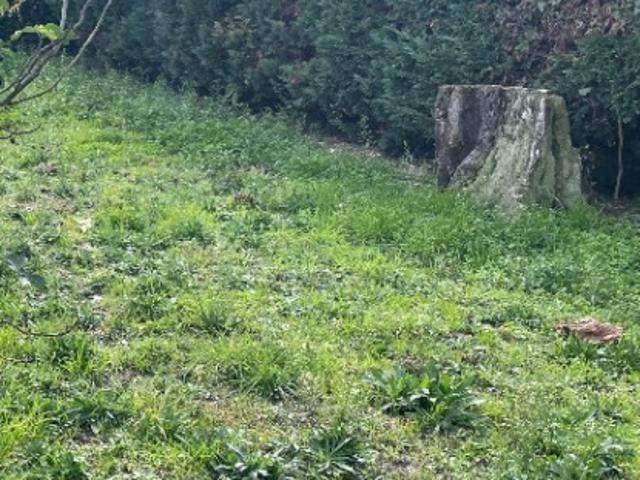 Terrain vente à France métropolitaine, Blanquefort