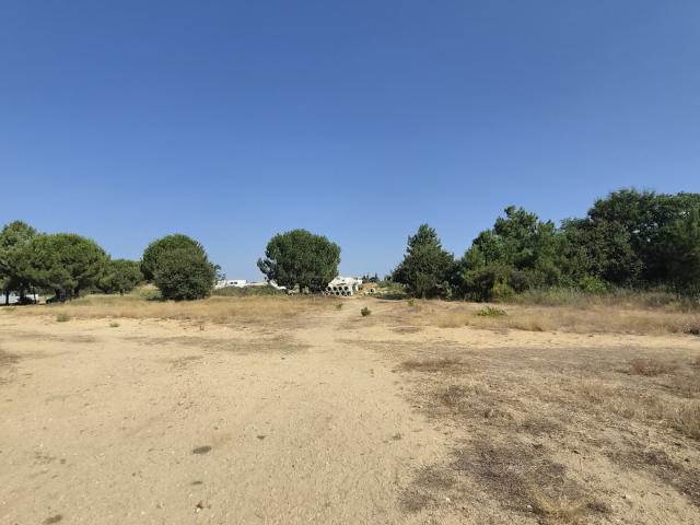 Terrain vente à Céret, Latour-bas-elne