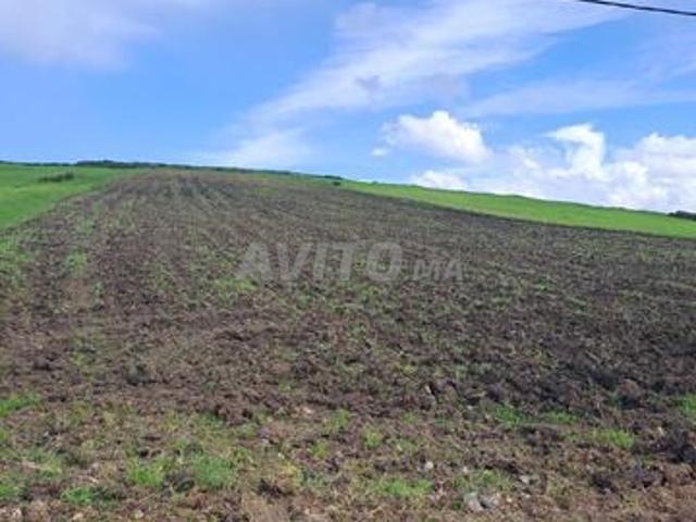 Propriété vente à Assilah, Tanger-Tétouan