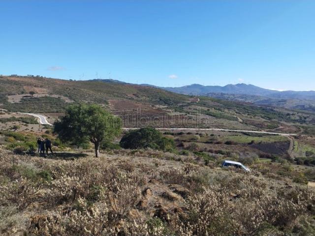 Terrain vente à El Fahs, Tanger-Tétouan