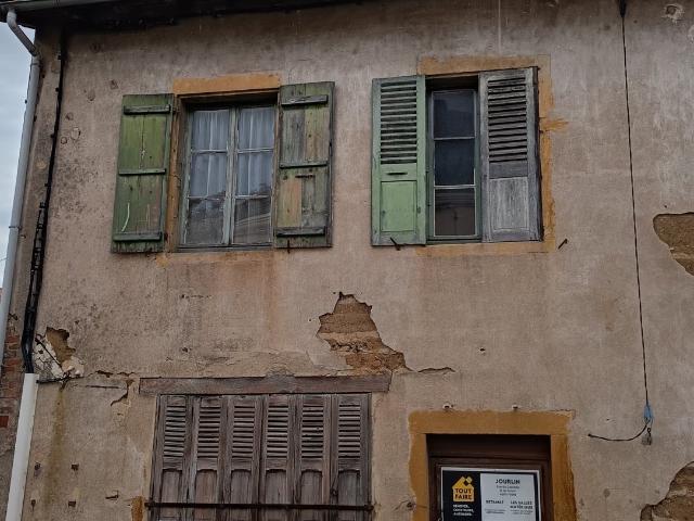 Terrain vente à Roanne, Briennon