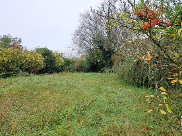 Terrain vente à Palaiseau, Breuillet