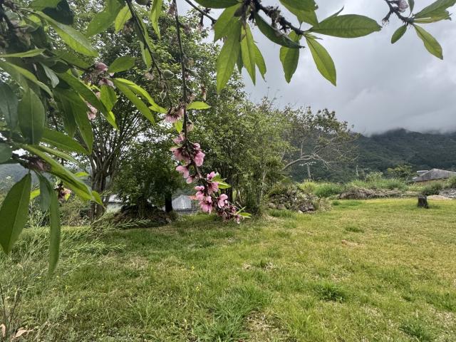Terrain vente à La Réunion