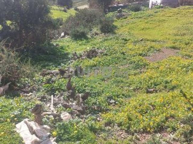 Propriété vente à Tétouan, Tanger-Tétouan