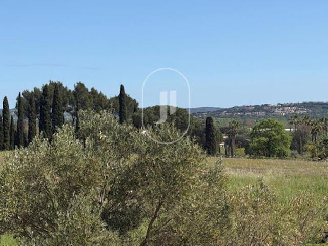 Terrain vente à Arrondissement de Draguignan, Grimaud
