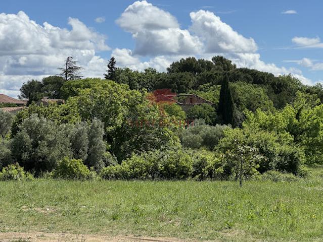 Terrain vente à Lodève, Occitanie