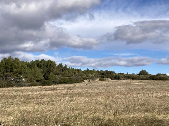 Terrain vente à Narbonne, Portel-des-corbières