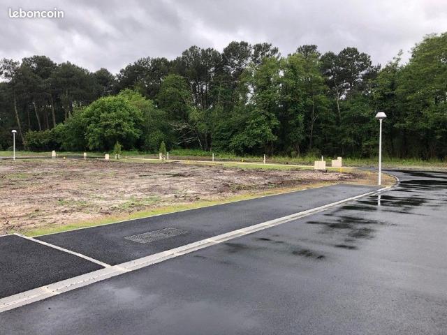 Terrain vente à France métropolitaine, Sanguinet